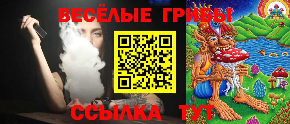 Галлюциногенные грибы Psilocybine cubensis  Вход с VPN  Александров 